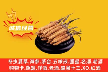 丰都县回收冬虫夏草
